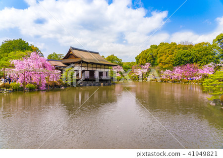 Heian Shrine, Higashijinen (Kodaiji Temple, Higashiyama-ku, Shimogawara-cho, Higashiyama-ku, Kyoto-shi, Kyoto) 41949821