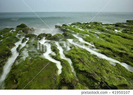Old Meilu Green Trough - North Coast and Guanyinshan National Scenic Area Old Meilu Green Trough - North Coast and Guanyinshan National Scenic Area 41950107