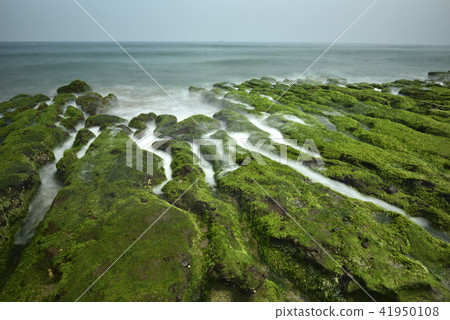 Old Meilu Green Trough - North Coast and Guanyinshan National Scenic Area Old Meilu Green Trough - North Coast and Guanyinshan National Scenic Area 41950108