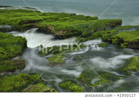 老梅綠石槽-北海岸及觀音山國家風景區 老梅綠石槽-北海岸及觀音山國家風景區 41950117