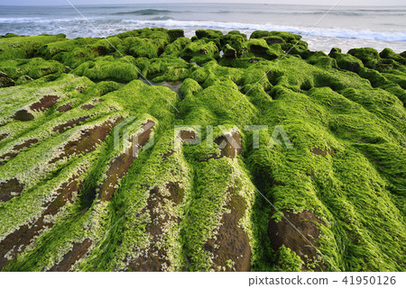 老梅綠石槽-北海岸及觀音山國家風景區 老梅綠石槽-北海岸及觀音山國家風景區 41950126