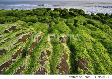 Old Meilu Green Trough - North Coast and Guanyinshan National Scenic Area Old Meilu Green Trough - North Coast and Guanyinshan National Scenic Area 41950127