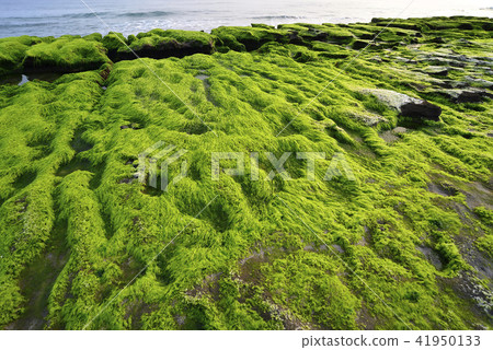 老梅綠石槽-北海岸及觀音山國家風景區 41950133