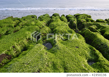老梅綠石槽-北海岸及觀音山國家風景區 41950136