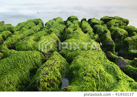 Old Meilu Green Trough - North Coast and Guanyinshan National Scenic Area 41950137