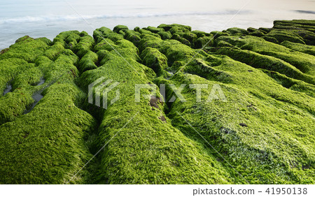 Old Meilu Green Trough - North Coast and Guanyinshan National Scenic Area 41950138