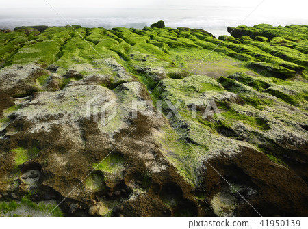 Old Meilu Green Trough - North Coast and Guanyinshan National Scenic Area 41950139