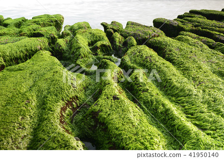 Old Meilu Green Trough - North Coast and Guanyinshan National Scenic Area Old Meilu Green Trough - North Coast and Guanyinshan National Scenic Area 41950140