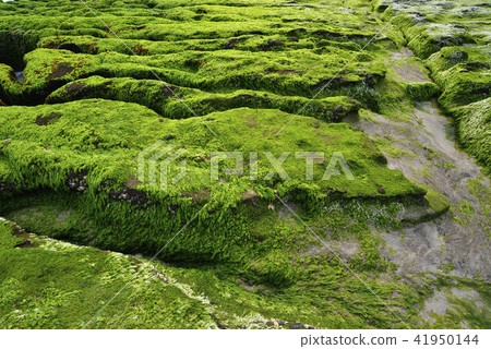 Old Meilu Green Trough - North Coast and Guanyinshan National Scenic Area Old Meilu Green Trough - North Coast and Guanyinshan National Scenic Area 41950144