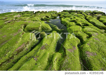Old Meilu Green Trough - North Coast and Guanyinshan National Scenic Area 41950146