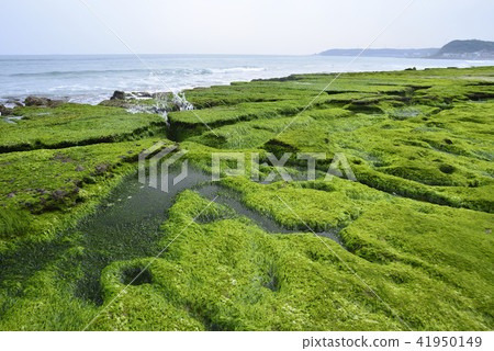 老梅綠石槽-北海岸及觀音山國家風景區 41950149