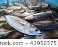 油炸鰹魚 41950375