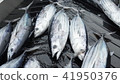 油炸鰹魚 41950376