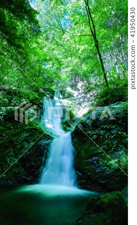 Mitsukuno Falls Mitsukuno Falls 41950430