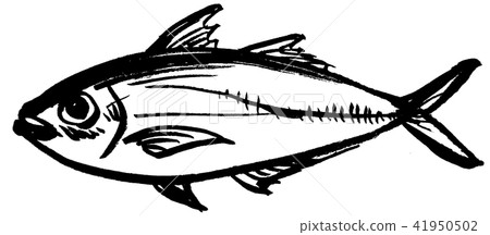 Aji fish illustration Aji fish illustration 41950502