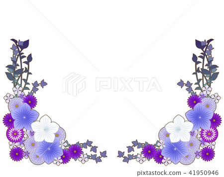 Aster and the bellflower frame 41950946