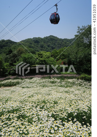 Kobe Haibu藥草園〜風山花園〜 Kobe Haibu藥草園〜風山花園〜 41951039