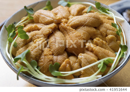 Udon Udon 41951644