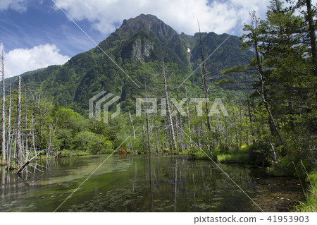 Kaidako Marsh in the early summer Kamikochi and Mt. Rikuyama / Matsumoto-shi, Nagano Prefecture 41953903
