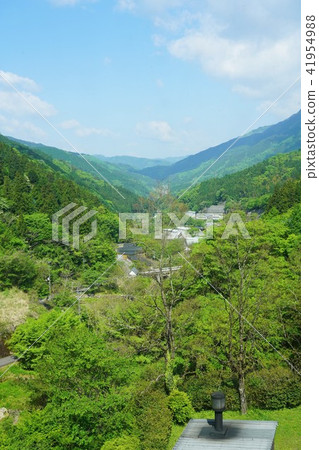 新綠色藍天 新綠色藍天 41954988