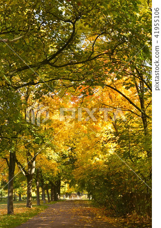 Autographed Vigeland Park Frognerparken Autographed Vigeland Park Frognerparken 41955106