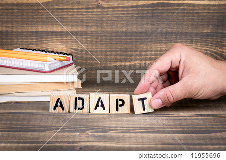 adapt. Abstract business, law and Cyber security, privacy concept 41955696