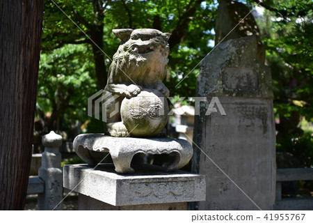 [Shikoku 88 Temples] No. 76 Konkuraji Temple Ungyo Komainu Zentsuji City, Kagawa Prefecture 41955767