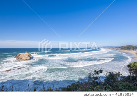 White rabbit coast 41956034
