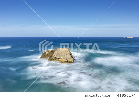 White rabbit coast 41956174