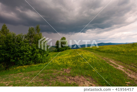 path across the grassy hill 41956457