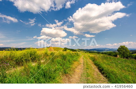 beautiful rural landscape in mountains beautiful rural landscape in mountains 41956460