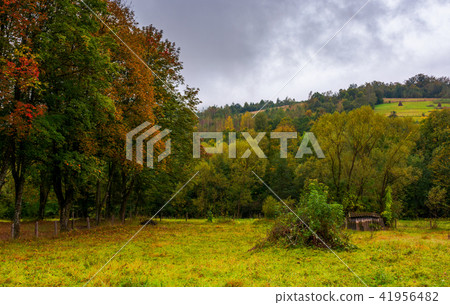 abandoned garden in autumn hazy weather abandoned garden in autumn hazy weather 41956482