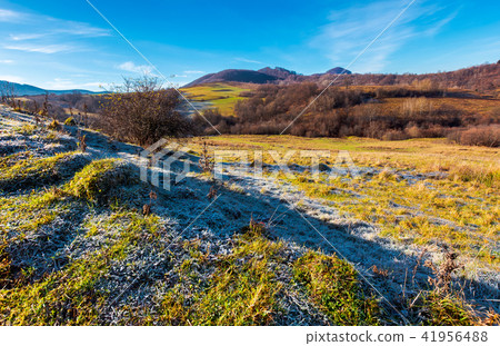 morning hoarfrost on the grassy meadow in mountain 41956488