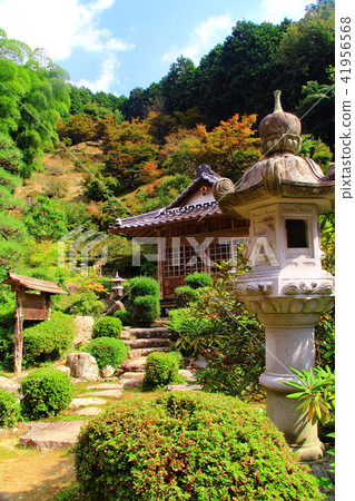 寺廟(兵庫縣丹波市)花園 寺廟(兵庫縣丹波市)花園 41956568