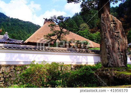 Todaiji (Hyogo prefecture Tamba city) Todaiji (Hyogo prefecture Tamba city) 41956570