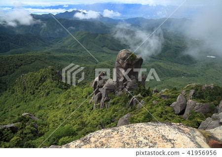 Great file rust from the summit of Ruisan Mountain in June Great file rust from the summit of Ruisan Mountain in June 41956956