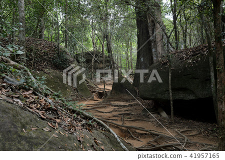CAMBODIA SIEM REAP ANGKOR KBAL SPEAN TEMPLE 41957165
