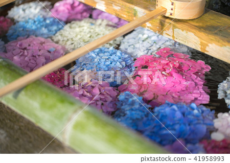 Tenshin Shrine 9285 Tenshin Shrine 9285 41958993