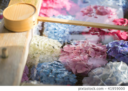 Okino Shrine 9578 Okino Shrine 9578 41959000