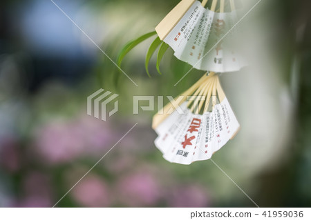 Oshino Shrine 9695 41959036