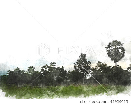 tree and field landscape on watercolor painting tree and field landscape on watercolor painting 41959065
