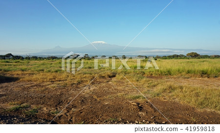 kilimanjaro and kenyan landscape 41959818