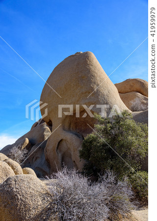 Skull Rock of Joshua Tree National Park 41959979