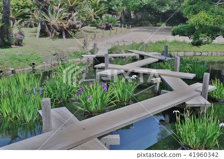 The nature in old Japanese park The nature in old Japanese park 41960342