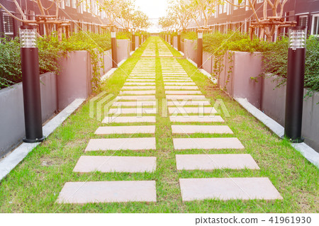footpath walking pathway go forward in the garden 41961930