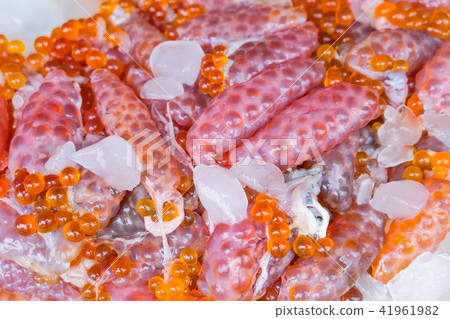 Giant sea salmon catfish eggs for food 41961982