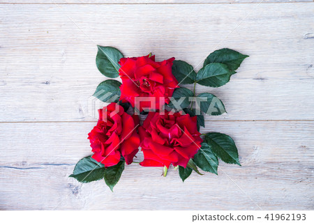 rose red flowers arrangement isolated on wooden gray background rose red flowers arrangement isolated on wooden gray background 41962193