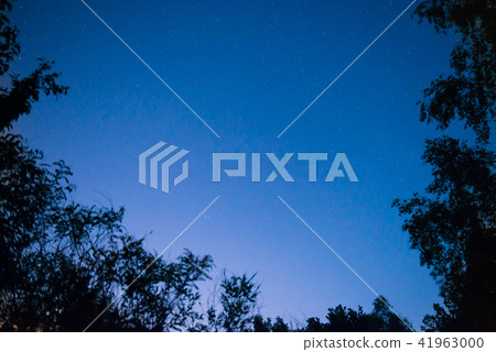 Sunset and night dark blue sky in forest Sunset and night dark blue sky in forest 41963000