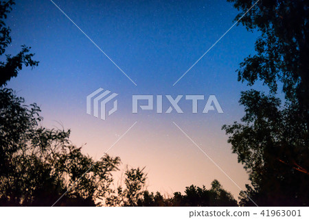 Sunset and night dark blue sky in forest Sunset and night dark blue sky in forest 41963001