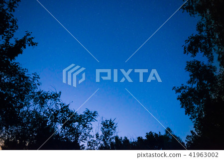 Night dark blue sky in forest 41963002